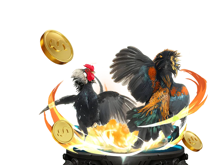 Dịch vụ VIP độc quyền 555win game